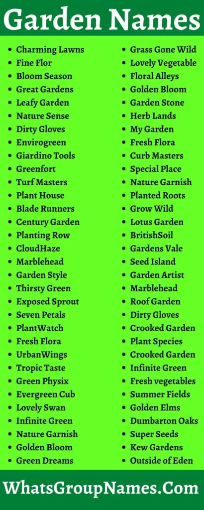 406+ Garden Names And Cute & Creative Plant Name Ideas