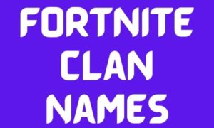 505+ Fortnite Clan Names For Cool, Sweaty, Good & Short