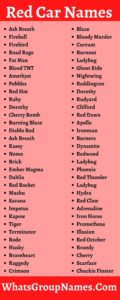 Red Car Names: 600+ Red Car Names Ideas & Suggestions