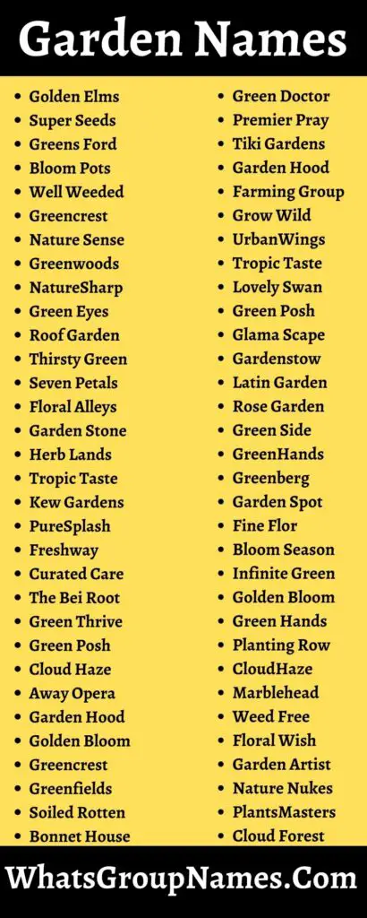 301+ Garden Names And Cute & Creative Plant Name Ideas